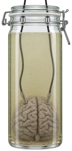 The brain gray and sunk to the bottom